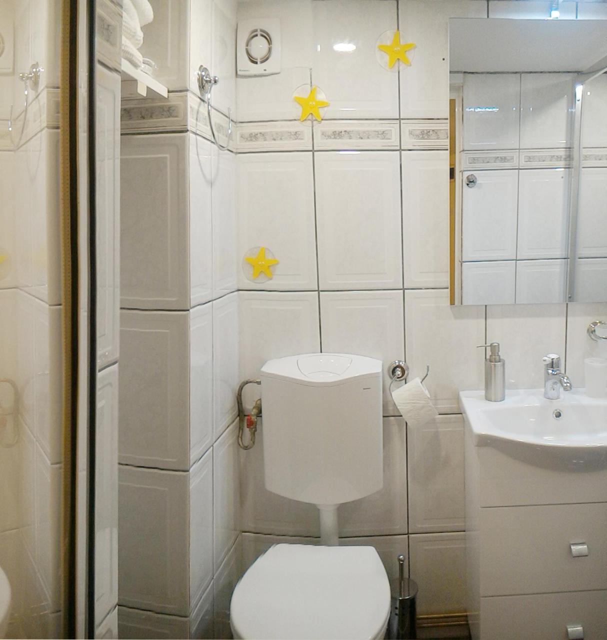 Republicii Rustic Apartament In Brasov City Center Exteriér fotografie